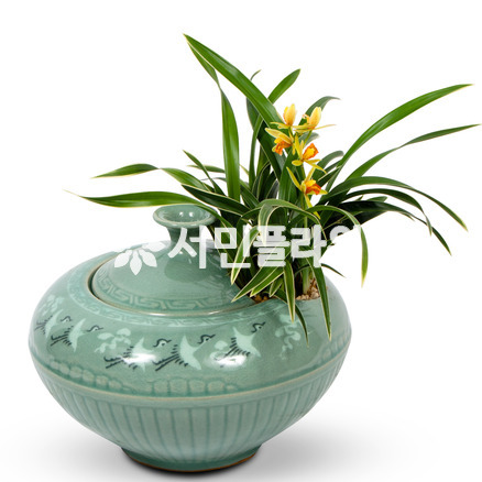 청자분대국 350e