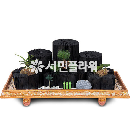 숯분재 m506
