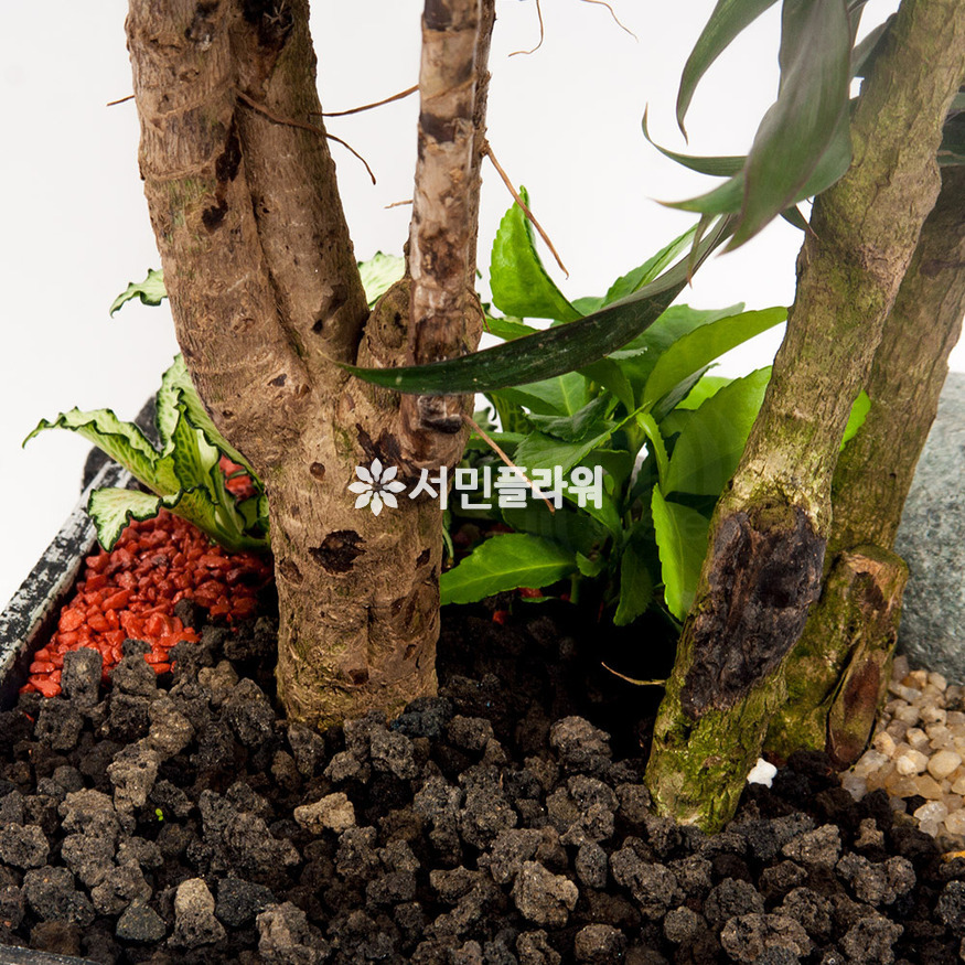 상세이미지