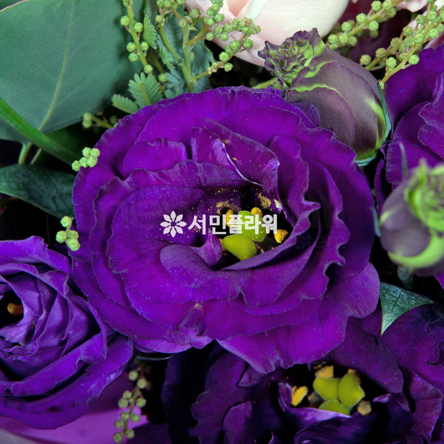 상세이미지