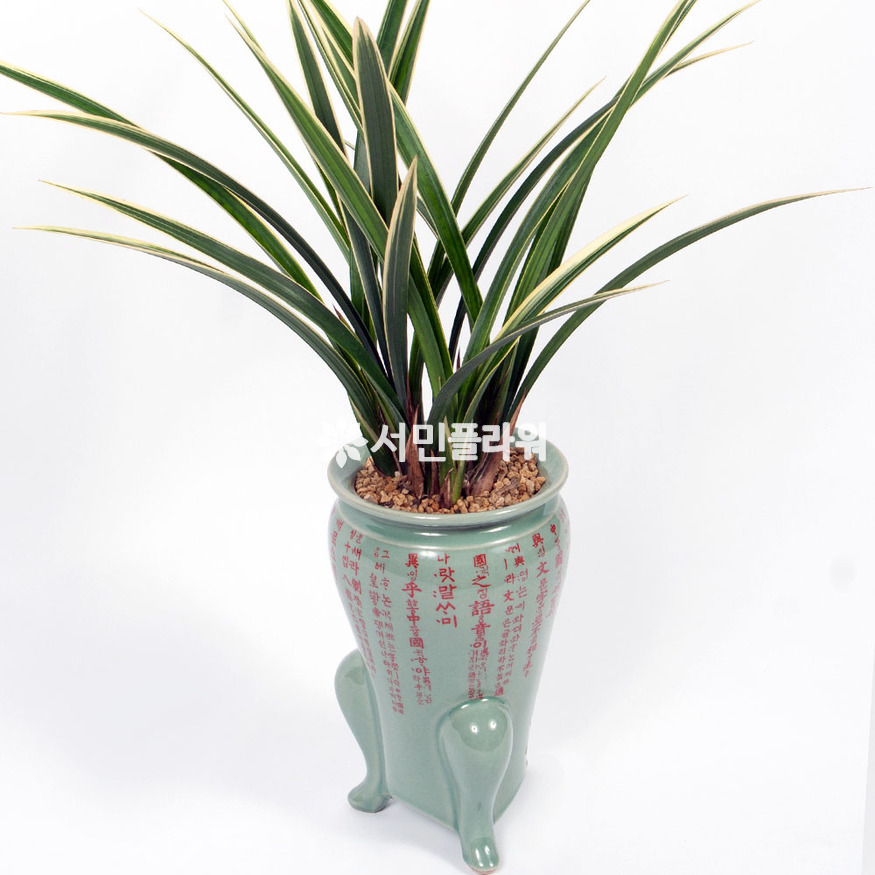 상세이미지