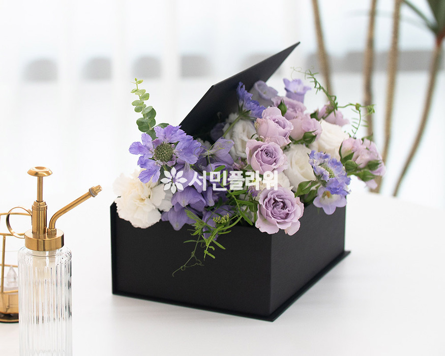 상세이미지