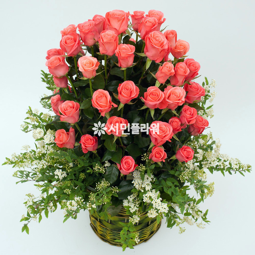 상세이미지
