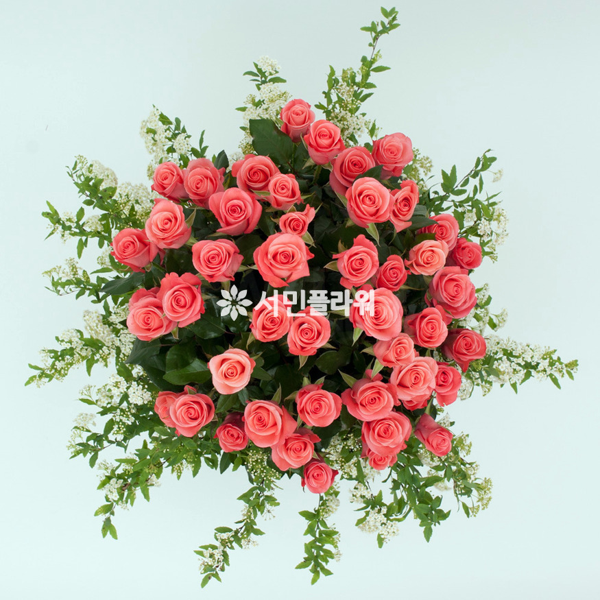 상세이미지
