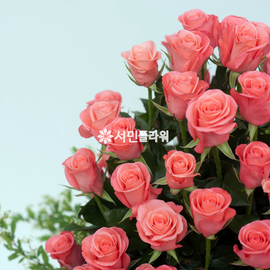 상세이미지