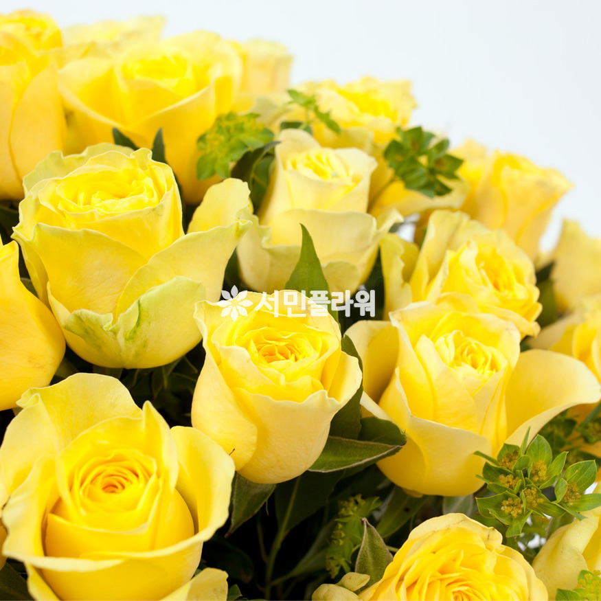상세이미지