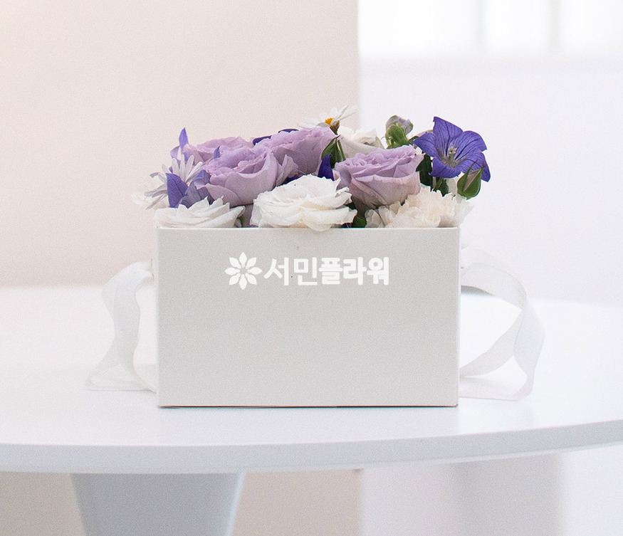 상세이미지