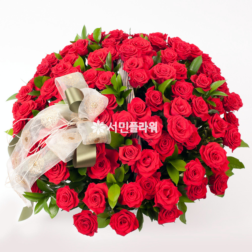 상세이미지