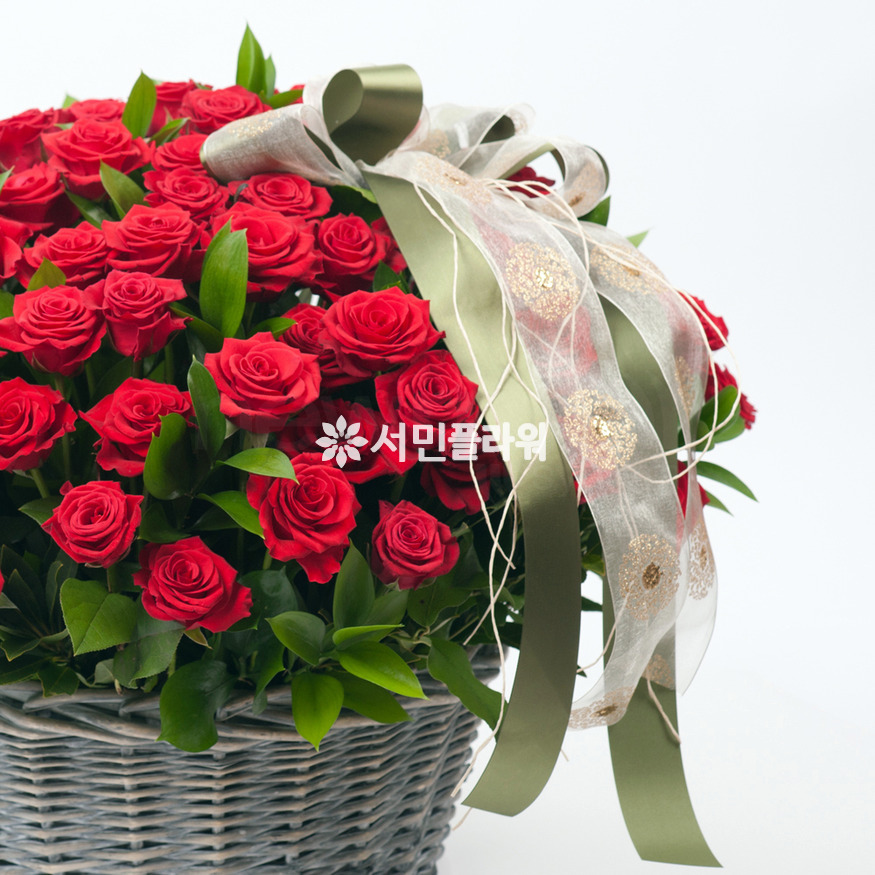 상세이미지