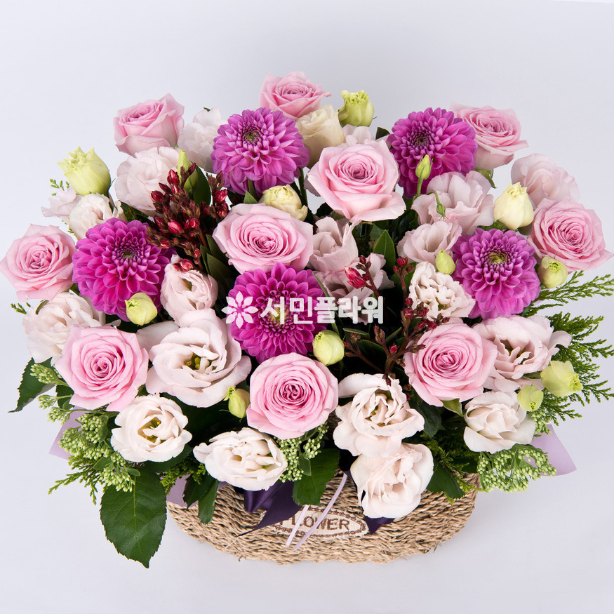 상세이미지