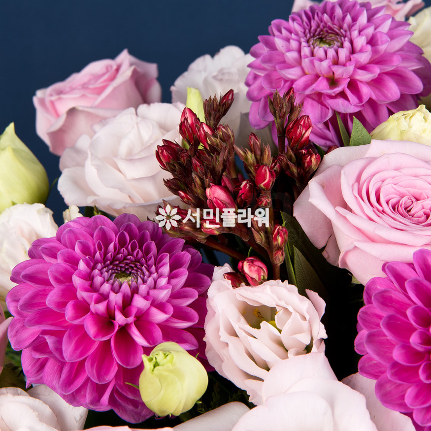 상세이미지
