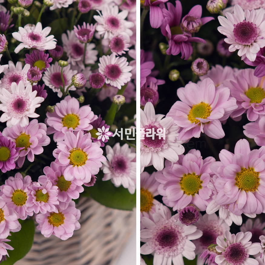상세이미지