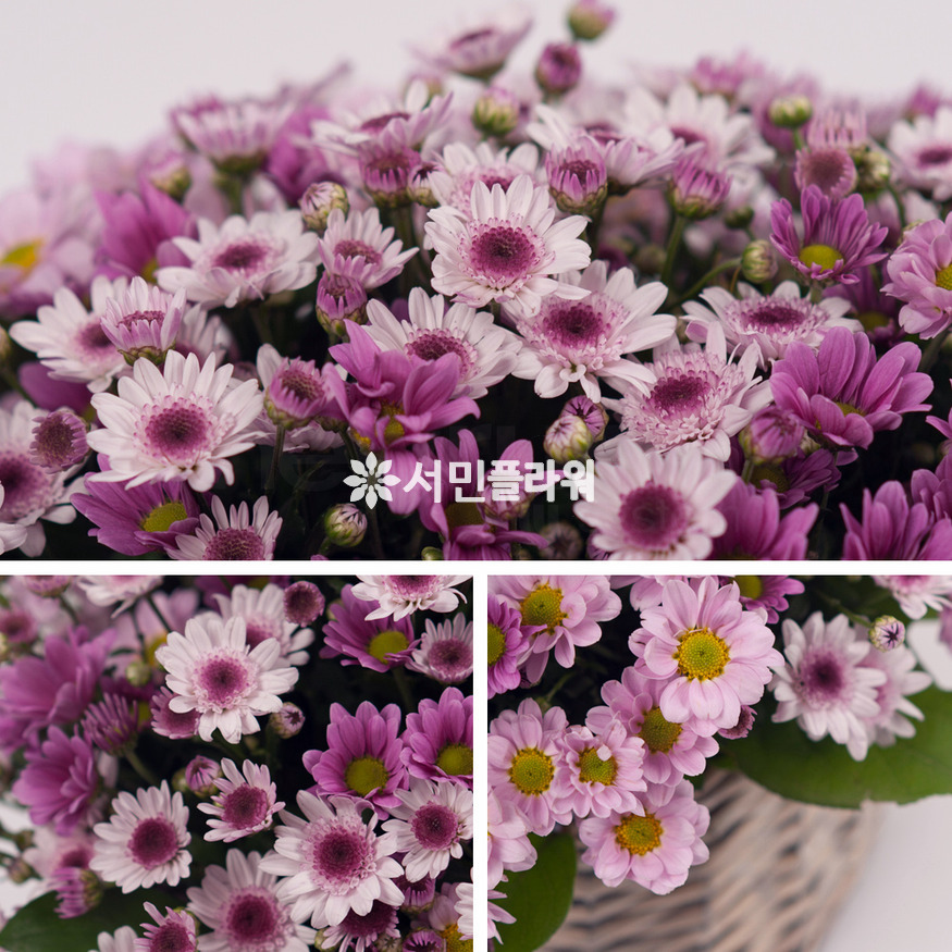 상세이미지