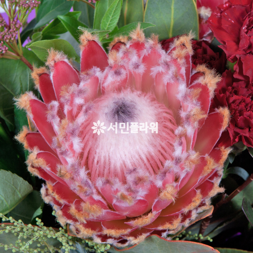 상세이미지
