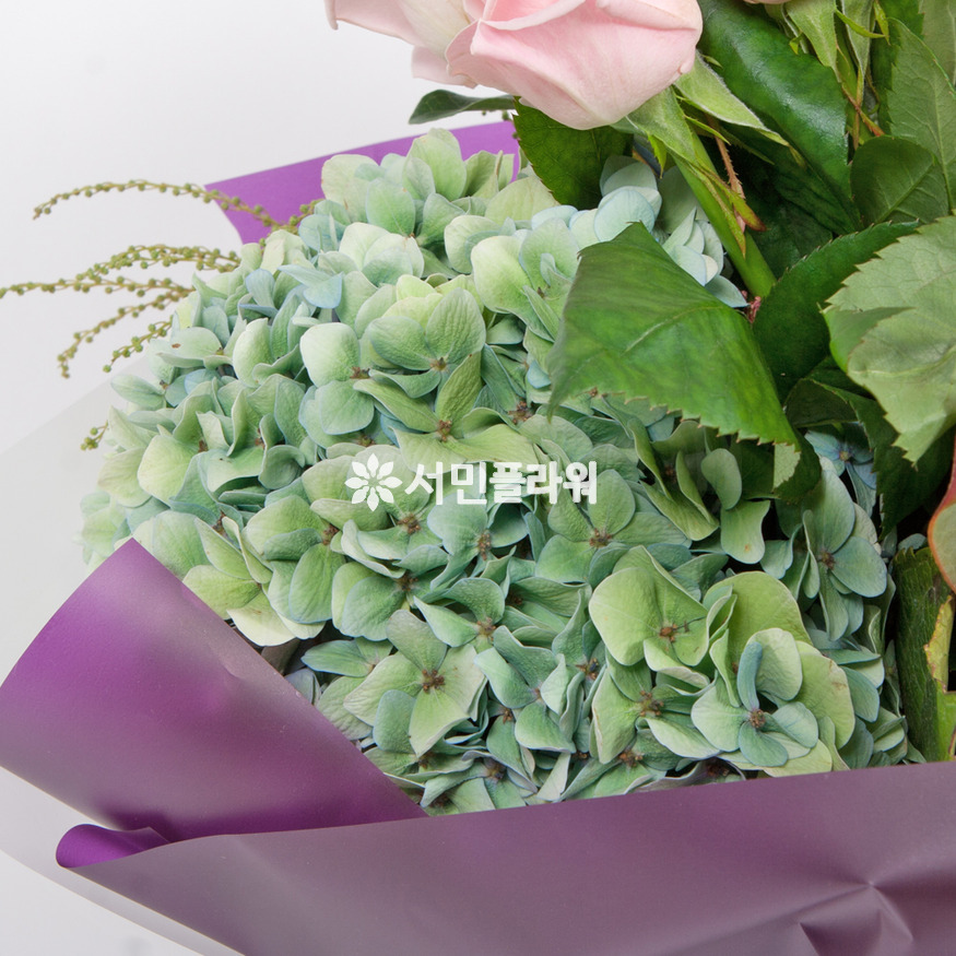 상세이미지
