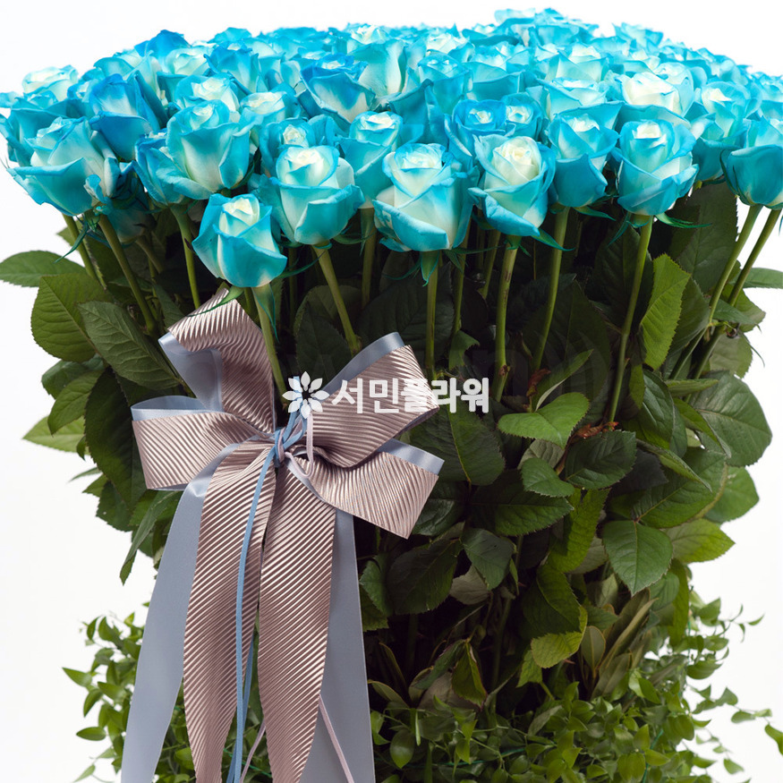 상세이미지