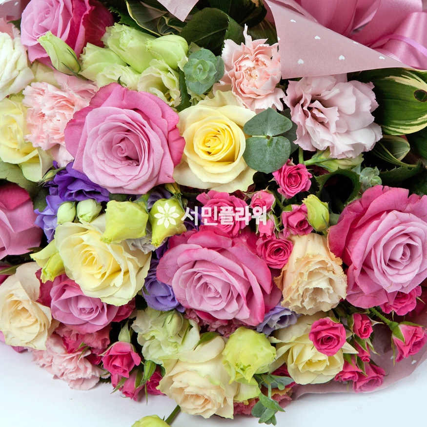 상세이미지
