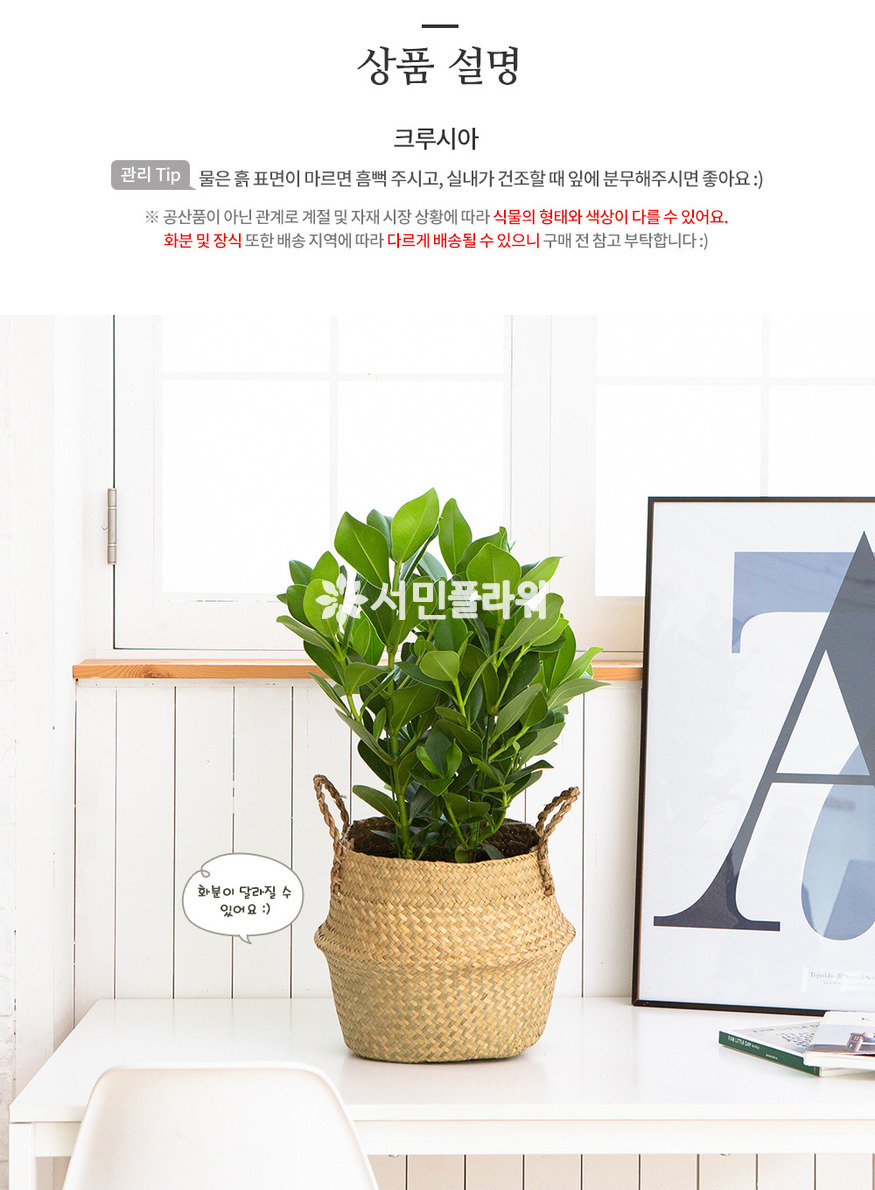 상세이미지