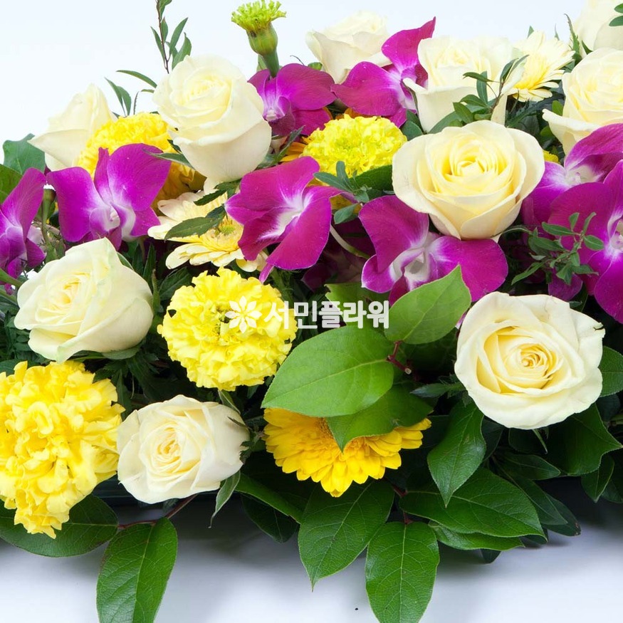 상세이미지