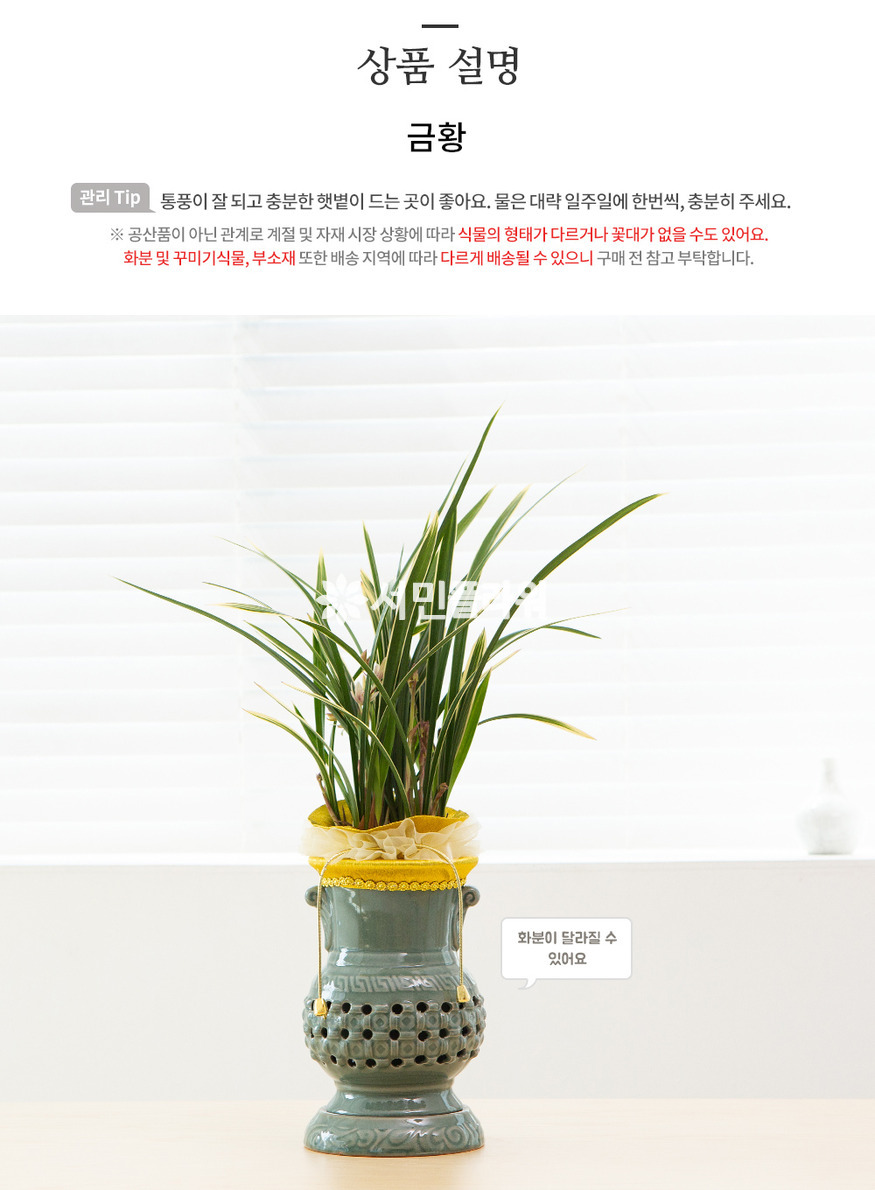 상세이미지