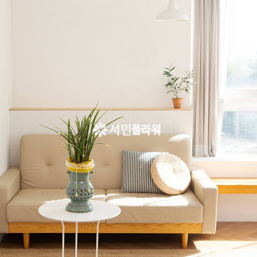 상세이미지