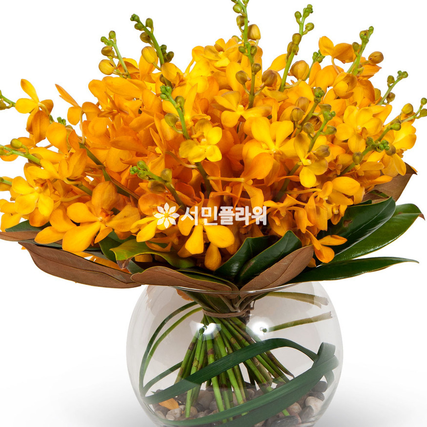 상세이미지