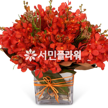 레드모카라화병