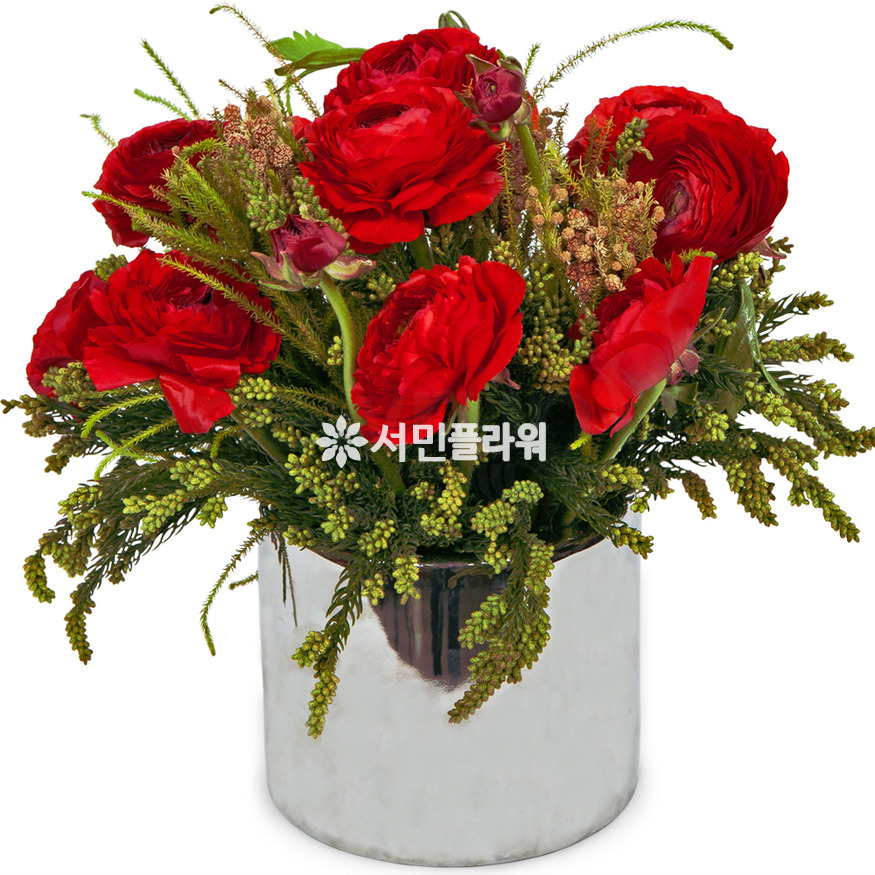 상세이미지