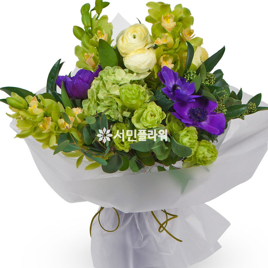 상세이미지