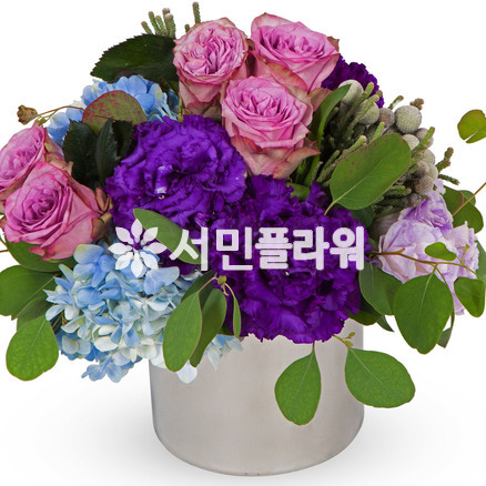 로멘틱러브