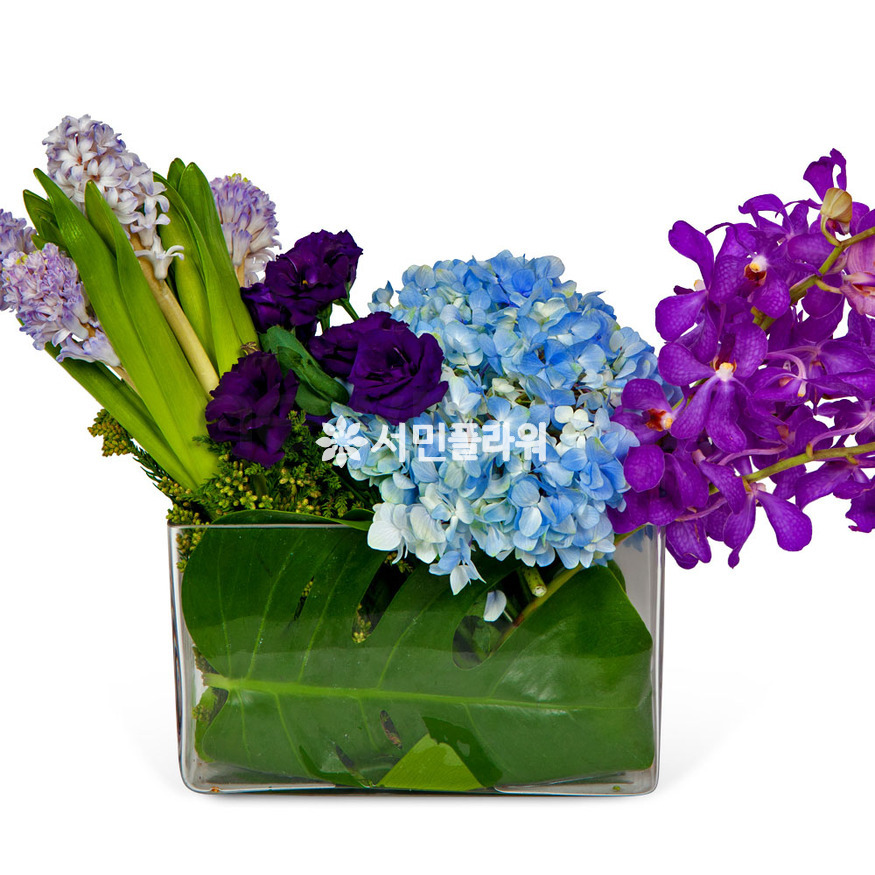 상세이미지