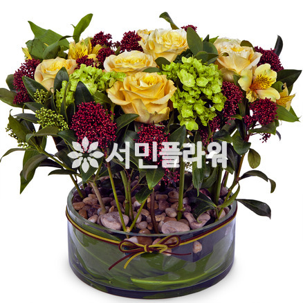 내마음을 받아줘