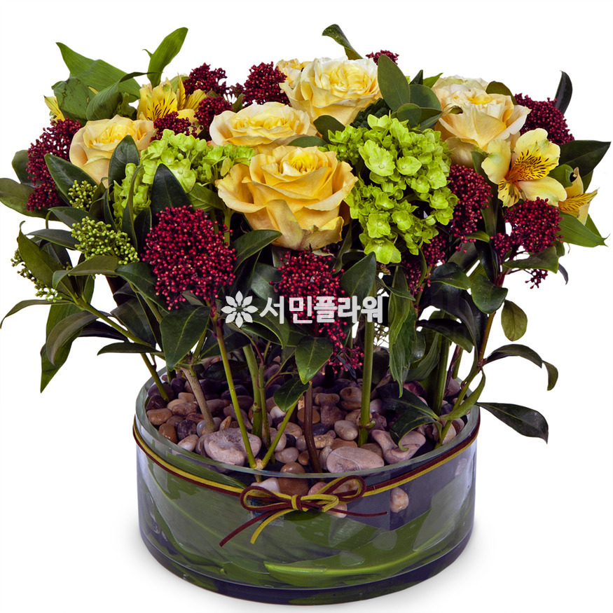 상세이미지
