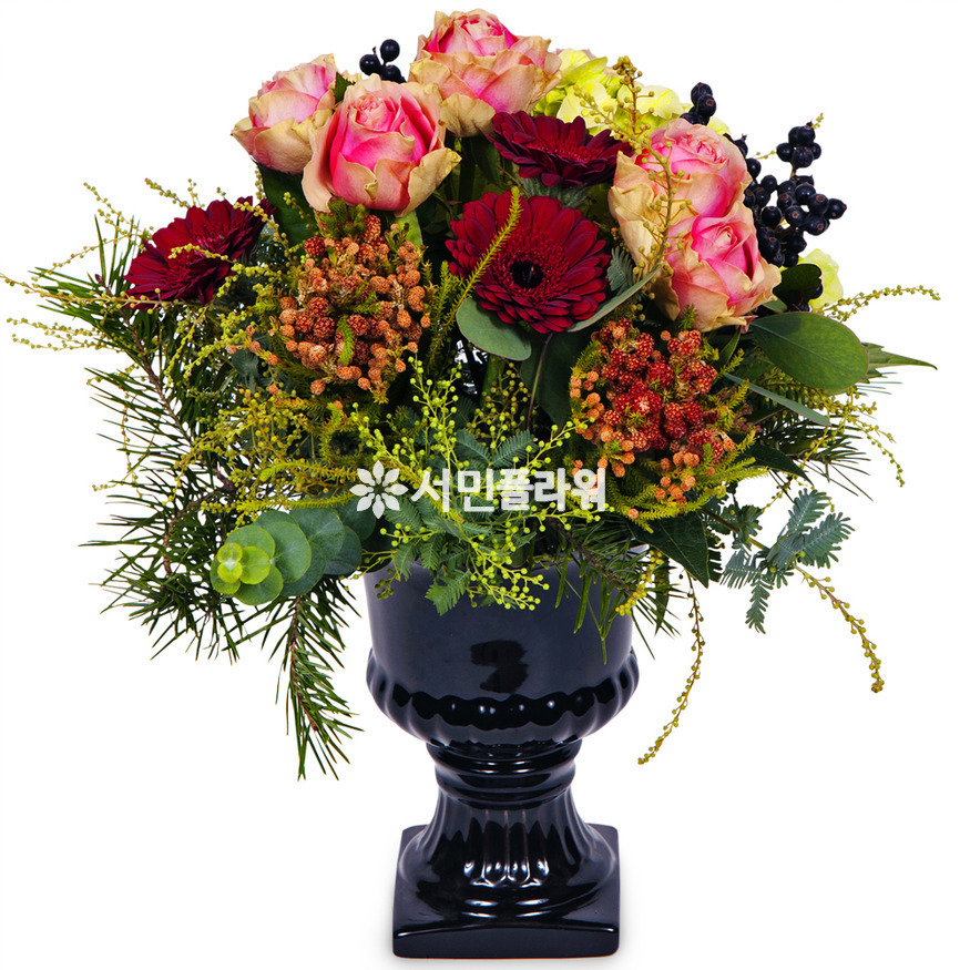 상세이미지