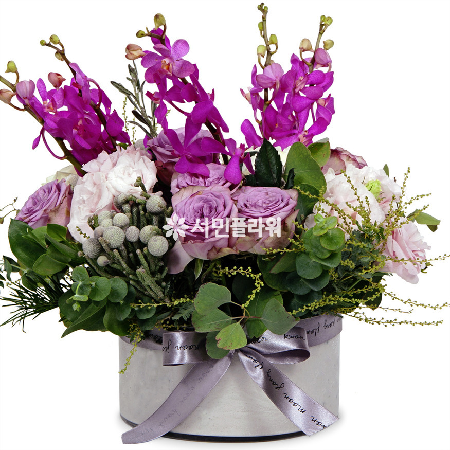 상세이미지