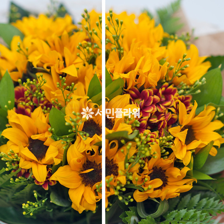 상세이미지