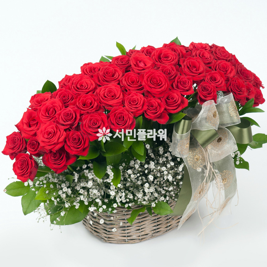상세이미지