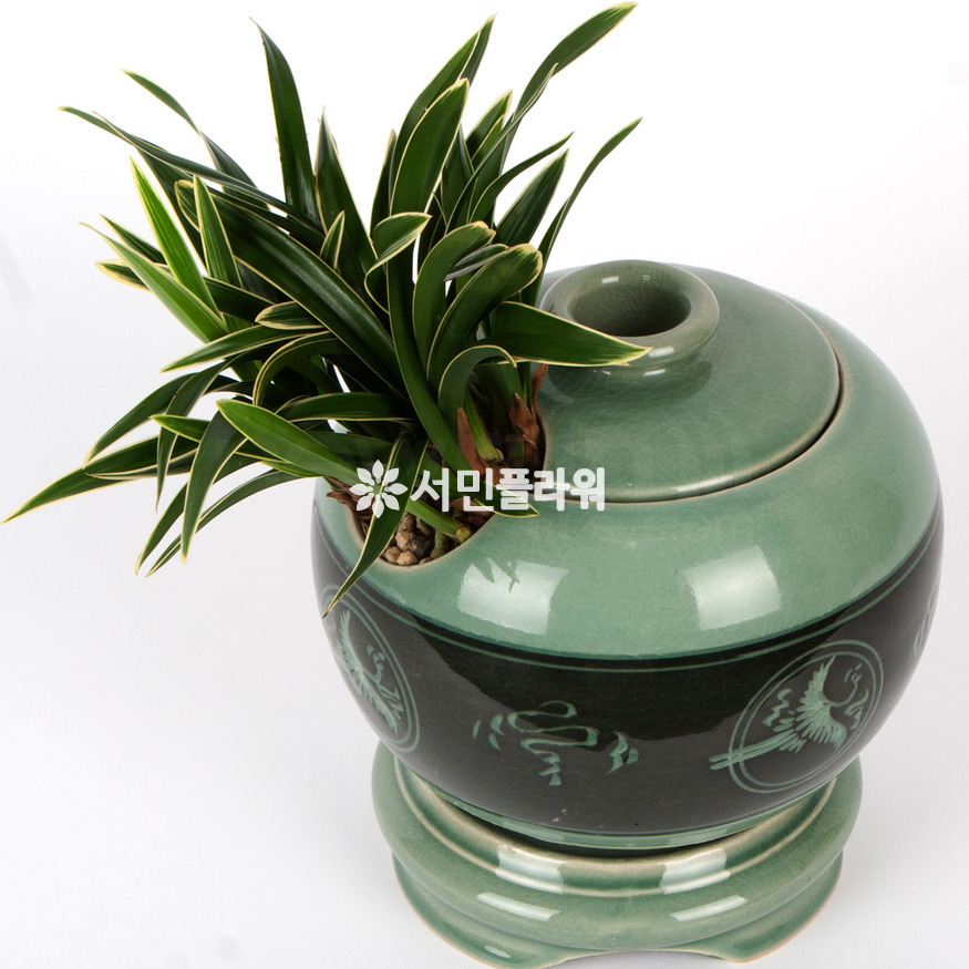 상세이미지