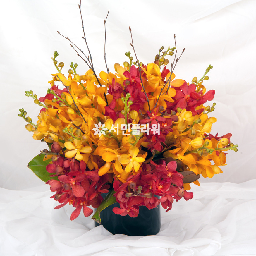 상세이미지