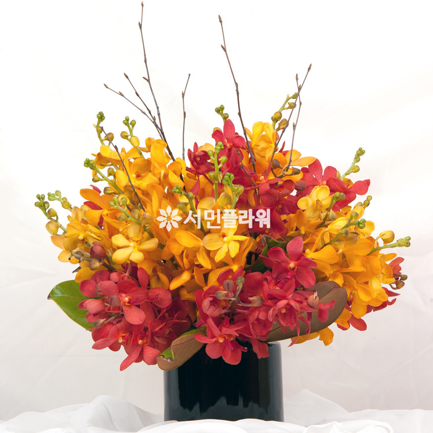 상세이미지
