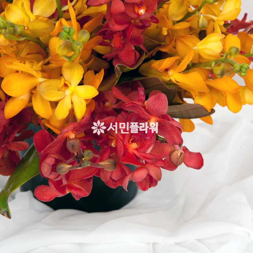 상세이미지