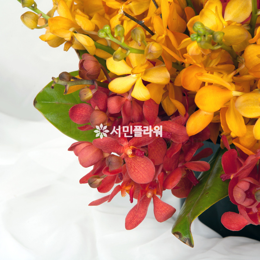 상세이미지