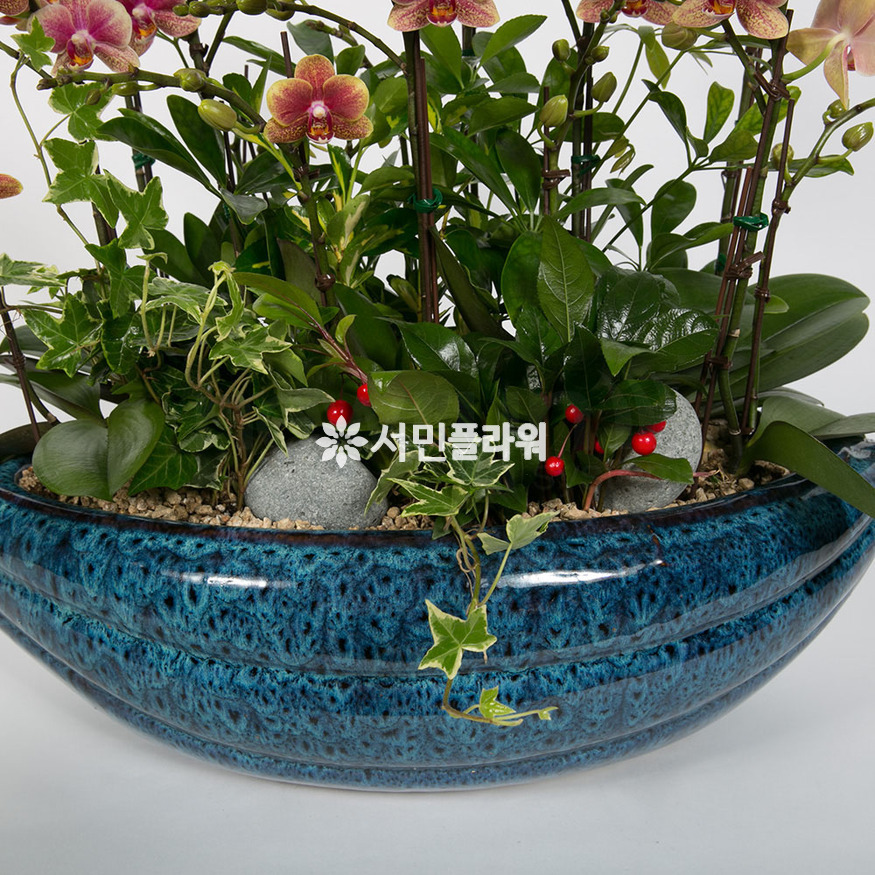 상세이미지