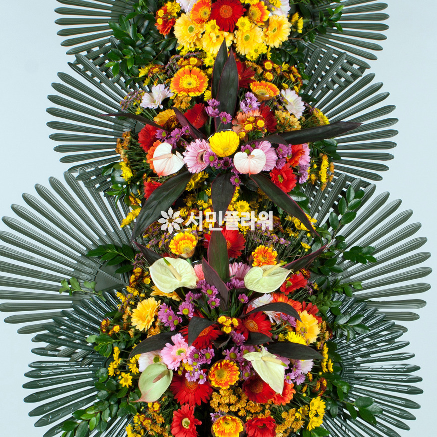 상세이미지