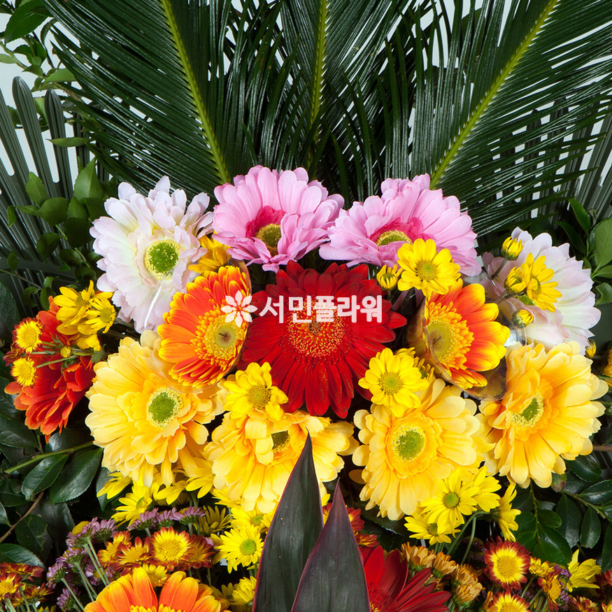 상세이미지
