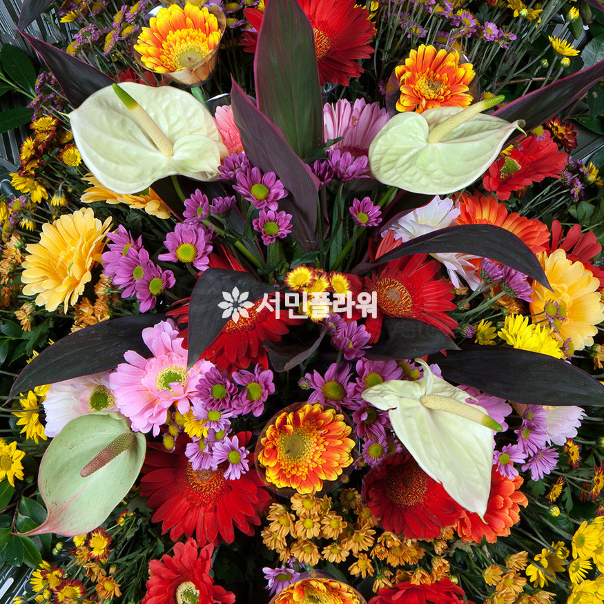 상세이미지