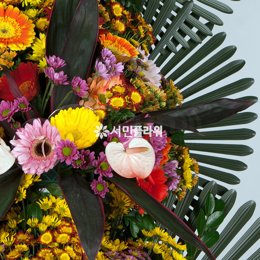 상세이미지