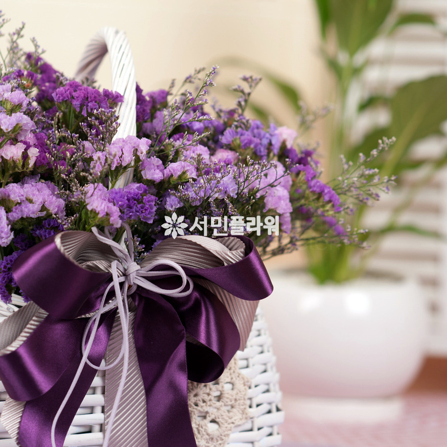 상세이미지