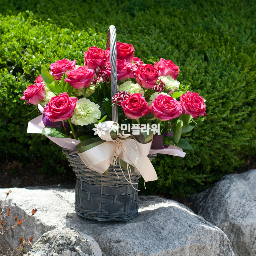 상세이미지