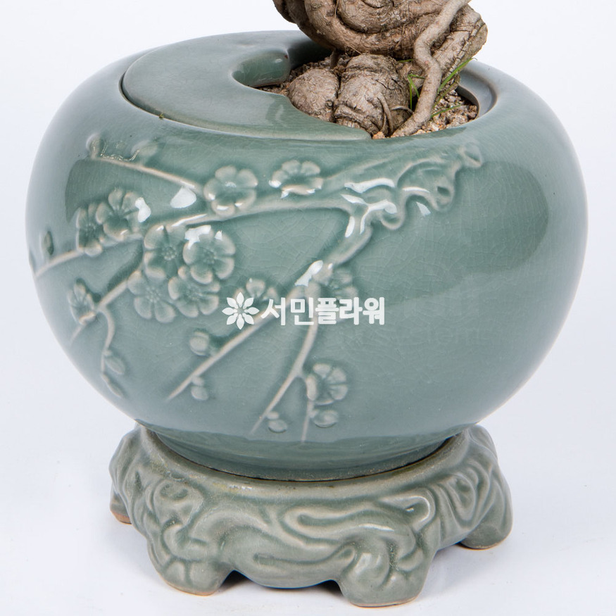 상세이미지